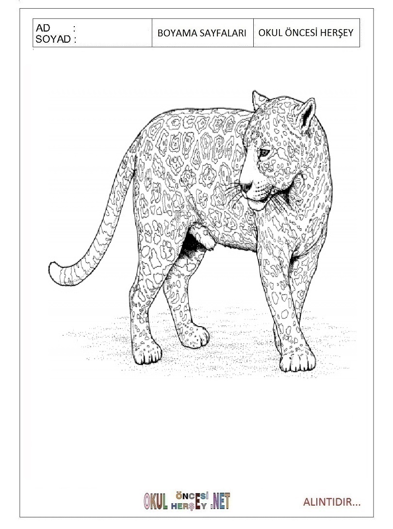 Çocuklar İçin Leopar Boyama Sayfaları 