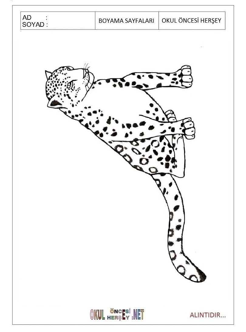 Çocuklar İçin Leopar Boyama Sayfaları 