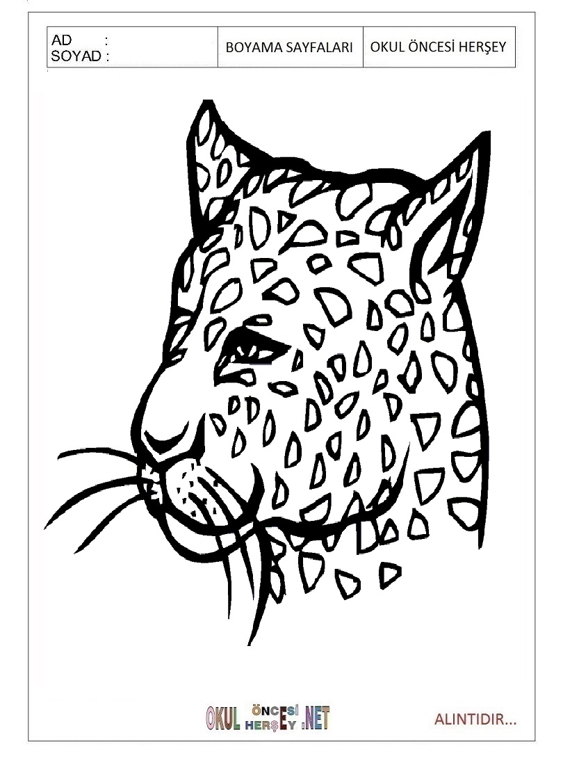 Çocuklar İçin Leopar Boyama Sayfaları 
