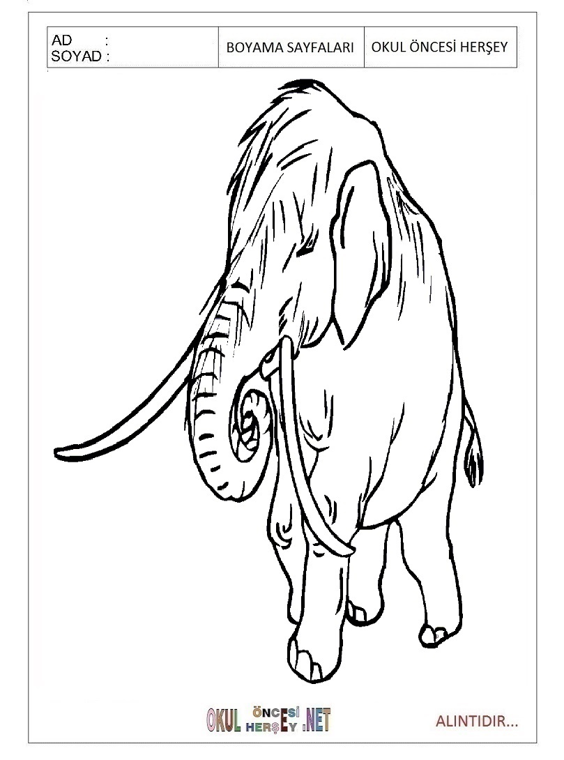 Çocuklar İçin Mamut Boyama Sayfaları 