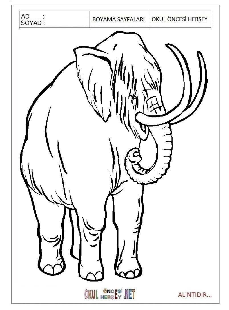 Çocuklar İçin Mamut Boyama Sayfaları 
