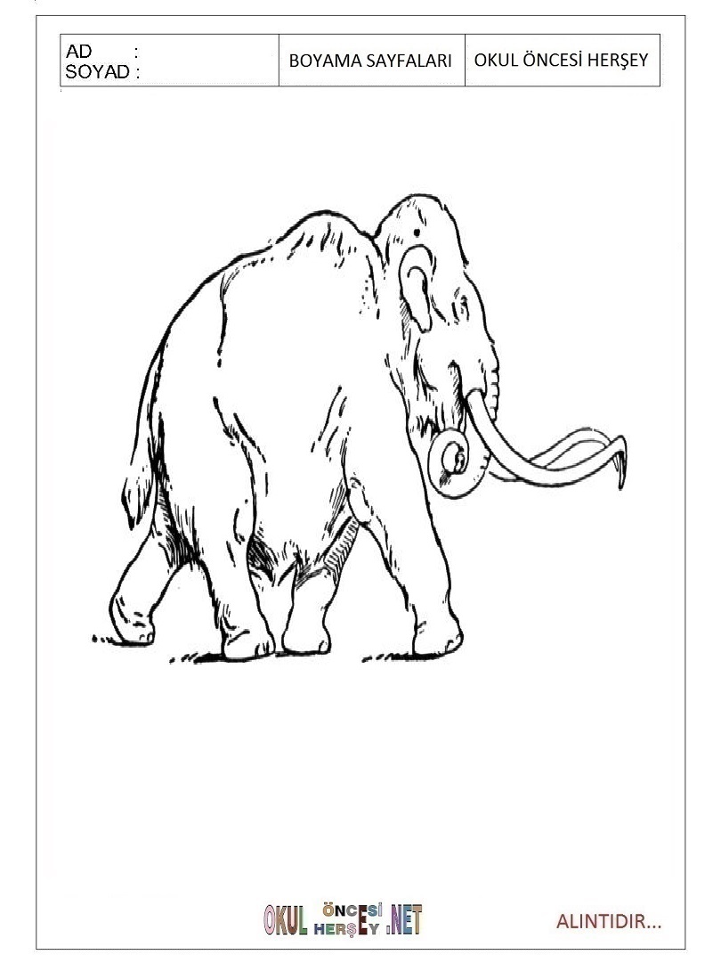 Çocuklar İçin Mamut Boyama Sayfaları 