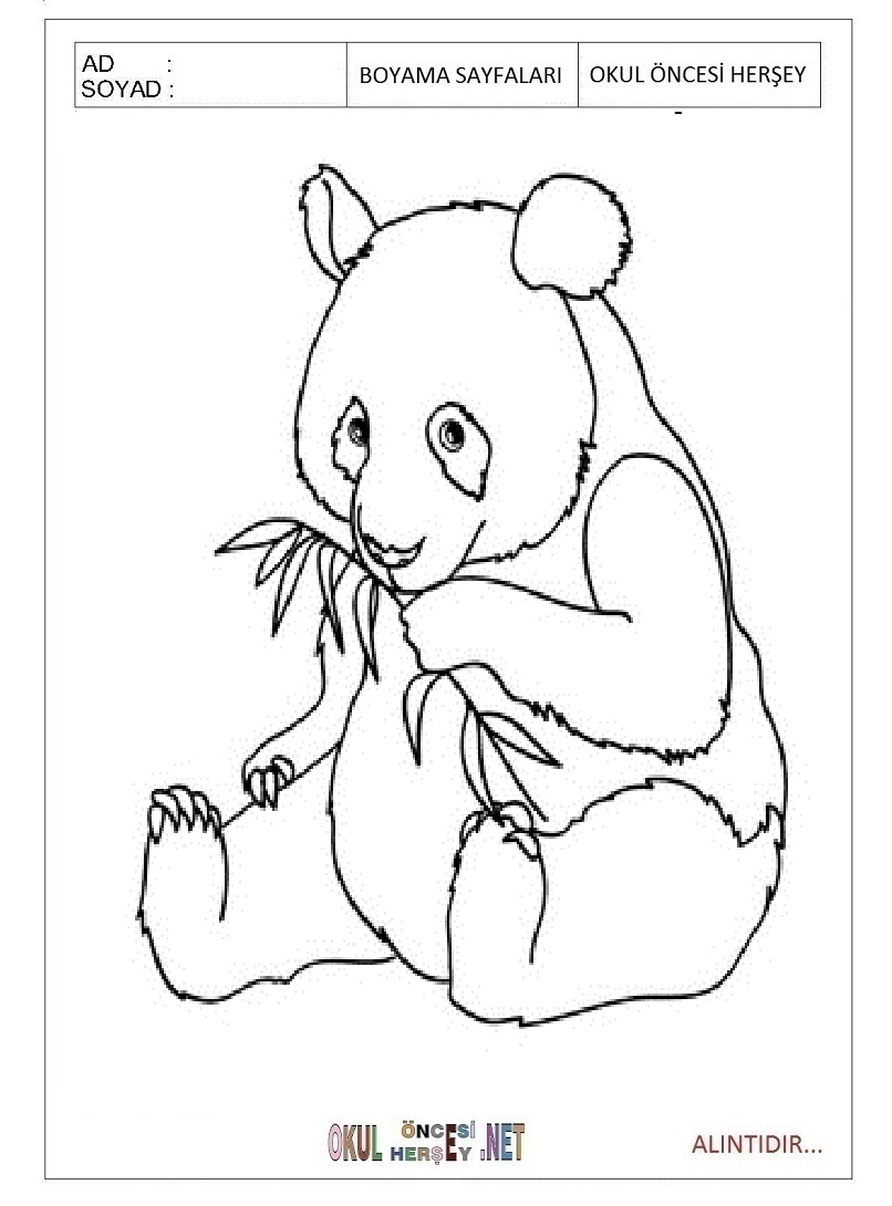 Çocuklar İçin Panda Boyama Sayfaları 