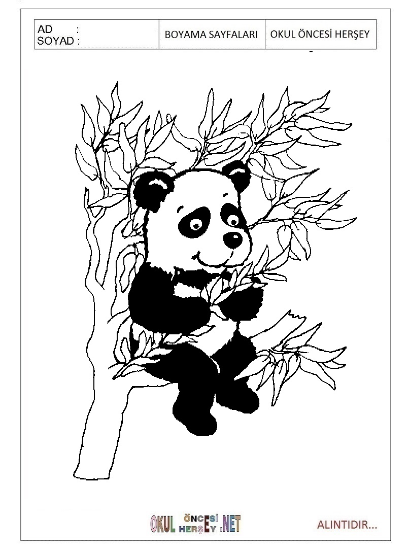 Çocuklar İçin Panda Boyama Sayfaları 