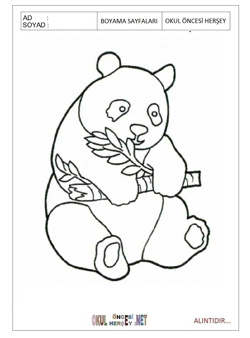 Çocuklar İçin Panda Boyama Sayfaları 
