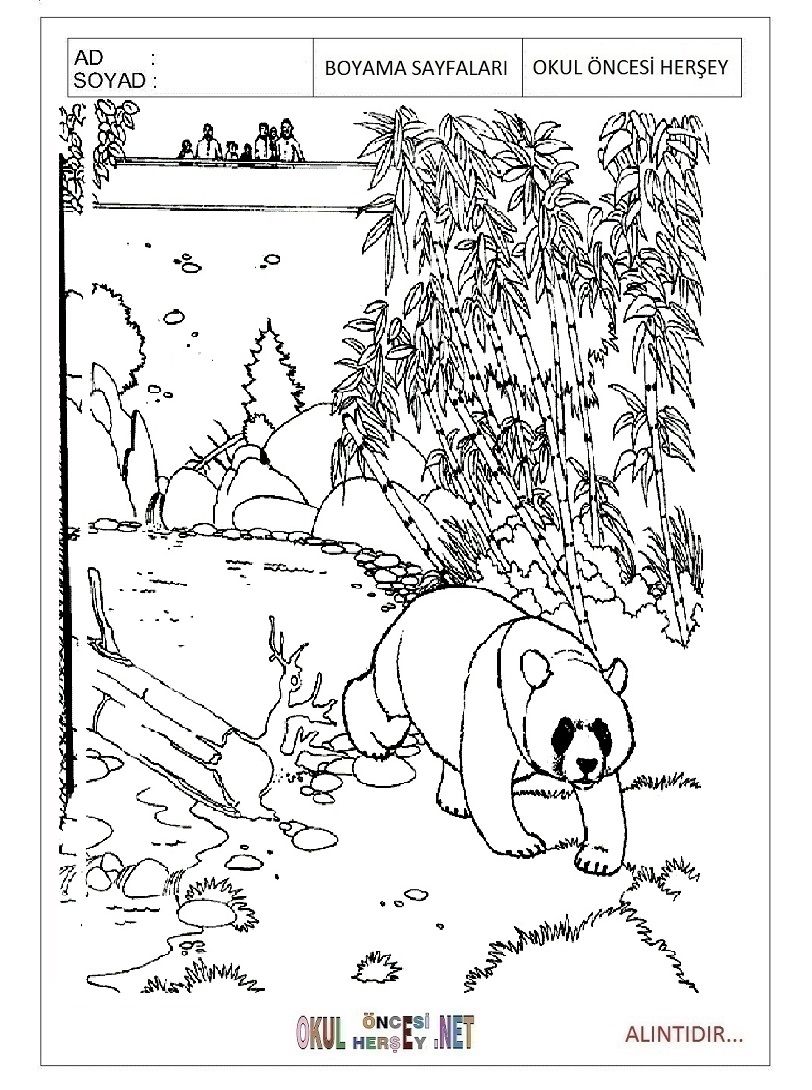 Çocuklar İçin Panda Boyama Sayfaları 