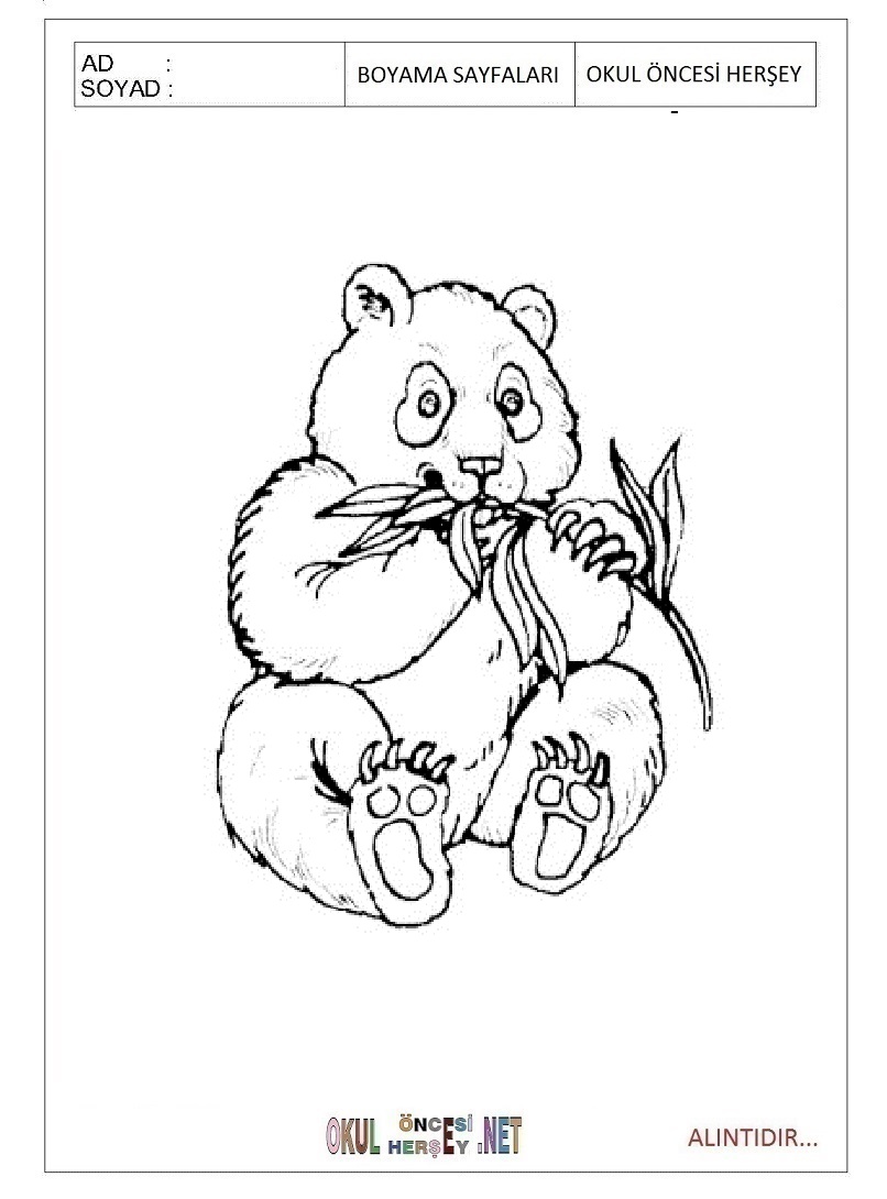 Çocuklar İçin Panda Boyama Sayfaları 