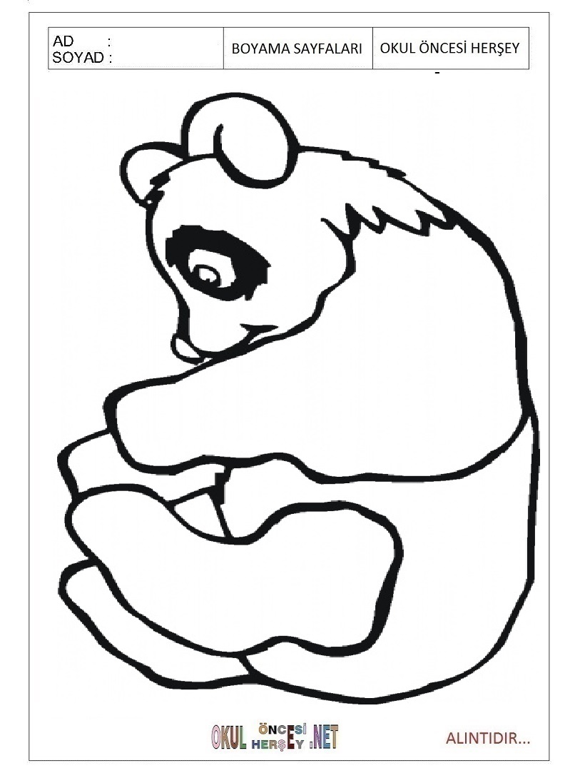 Çocuklar İçin Panda Boyama Sayfaları 