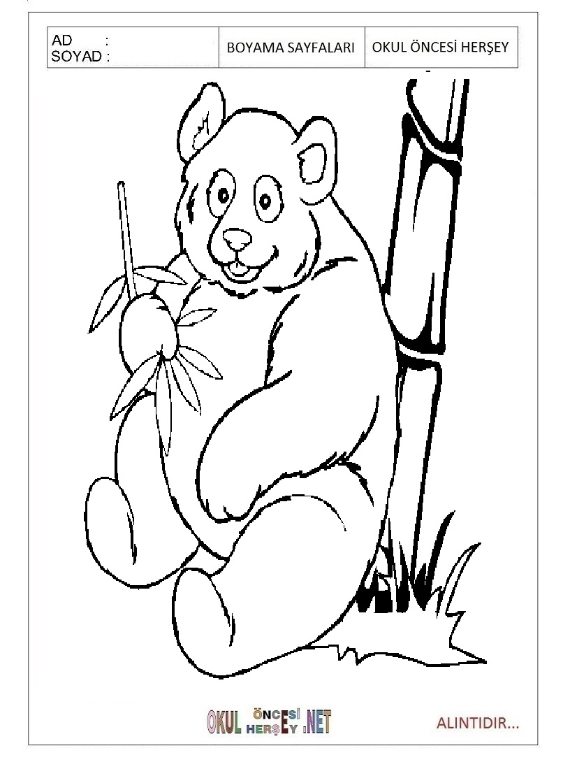 Çocuklar İçin Panda Boyama Sayfaları 