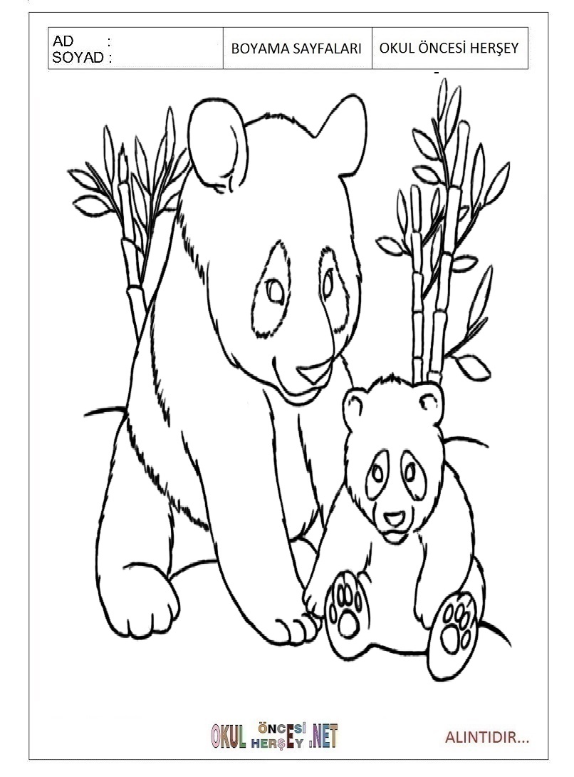 Çocuklar İçin Panda Boyama Sayfaları 