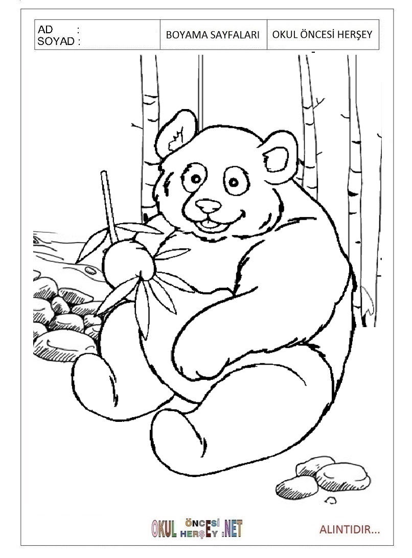 Çocuklar İçin Panda Boyama Sayfaları 
