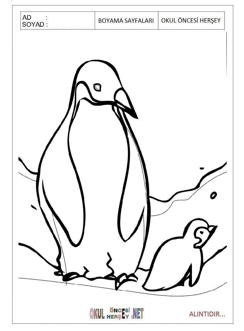 Çocuklar İçin Penguen Boyama Sayfaları 