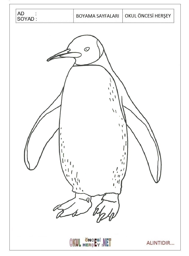 Çocuklar İçin Penguen Boyama Sayfaları 