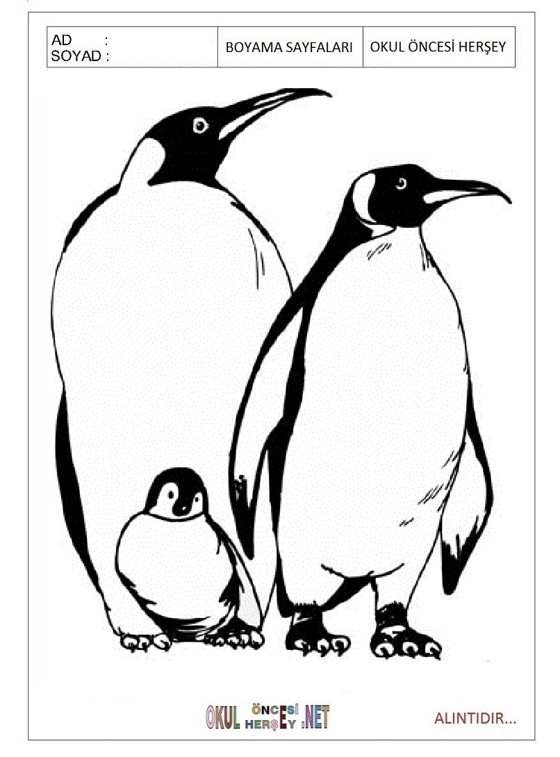 Çocuklar İçin Penguen Boyama Sayfaları 