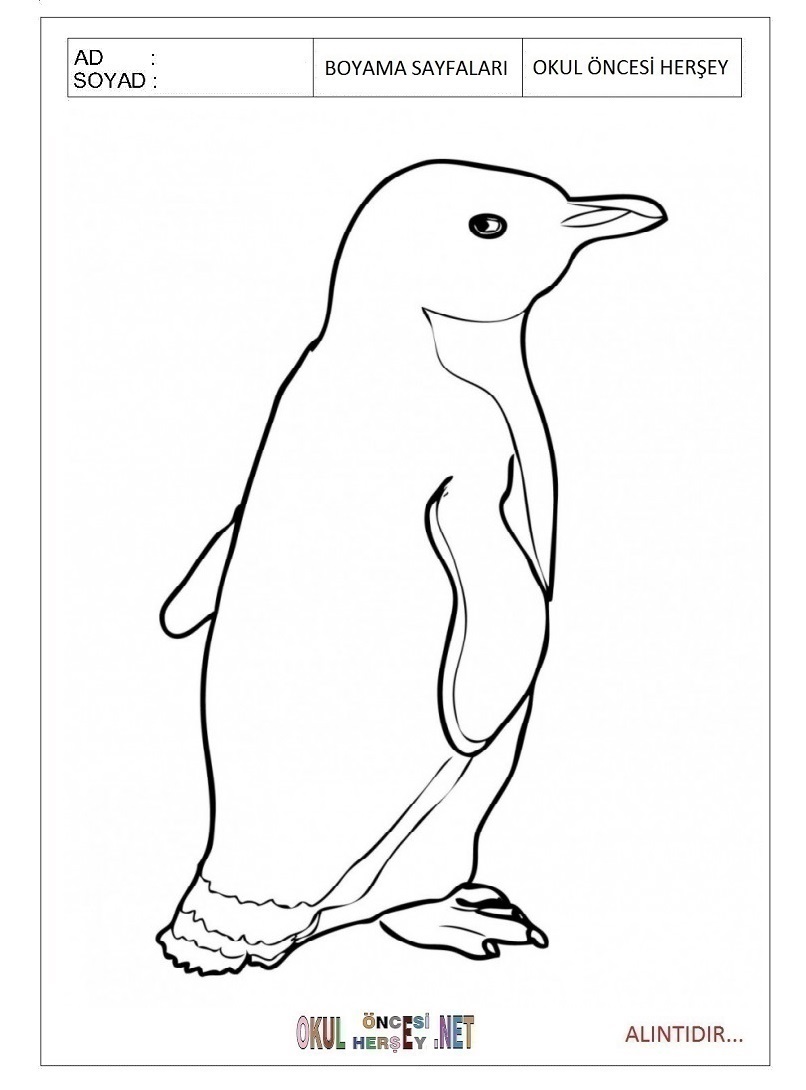 Çocuklar İçin Penguen Boyama Sayfaları 