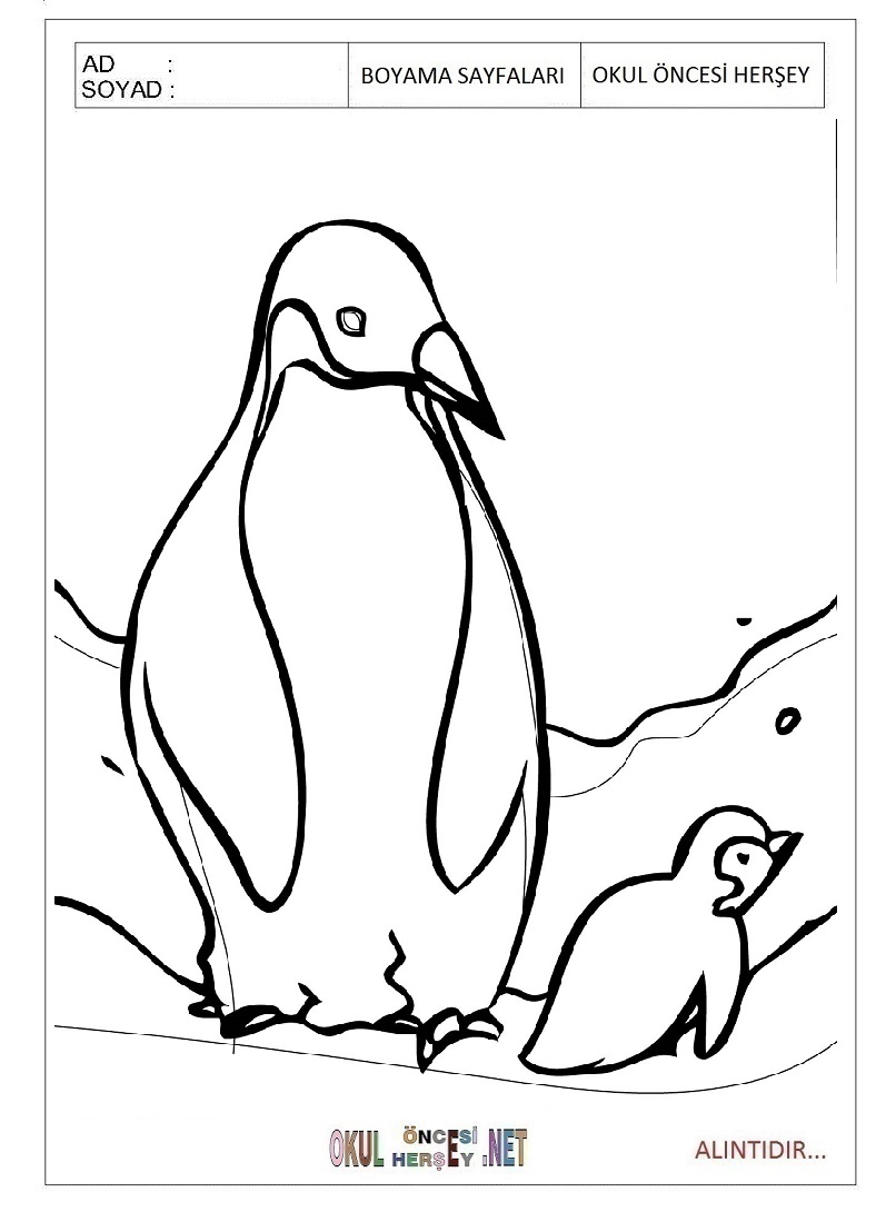 Çocuklar İçin Penguen Boyama Sayfaları 