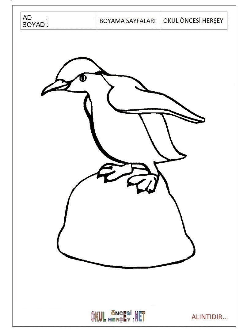 Çocuklar İçin Penguen Boyama Sayfaları 