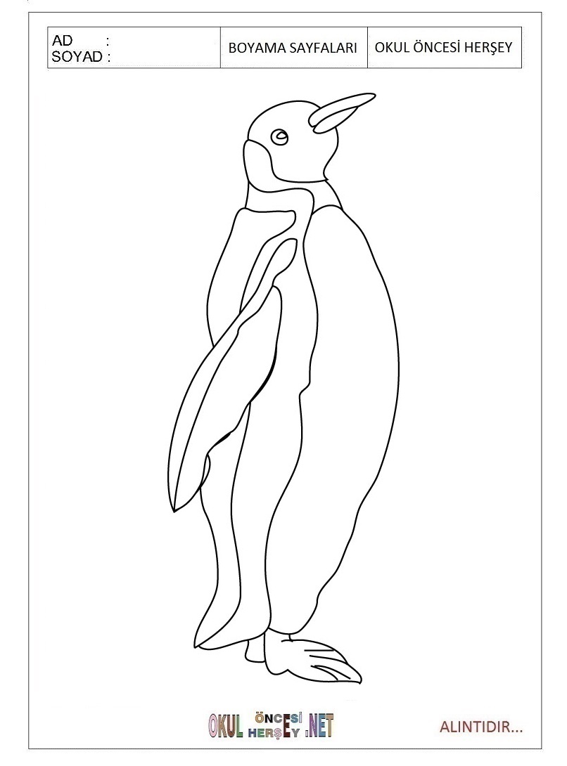 Çocuklar İçin Penguen Boyama Sayfaları 