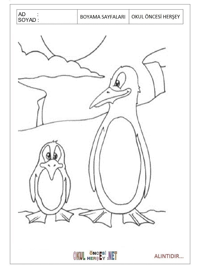 Çocuklar İçin Penguen Boyama Sayfaları 
