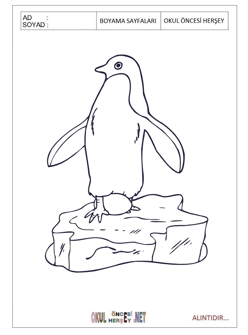 Çocuklar İçin Penguen Boyama Sayfaları 