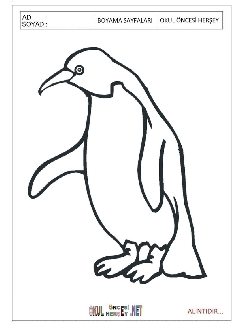 Çocuklar İçin Penguen Boyama Sayfaları 