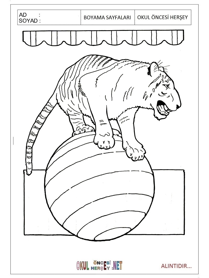 Раскраска цифровой цирк распечатать. Цирковые животные раскраски. Раскраска тигр в цирке. Раскраски звери в цирке. Раскраски животные в цирке для детей.