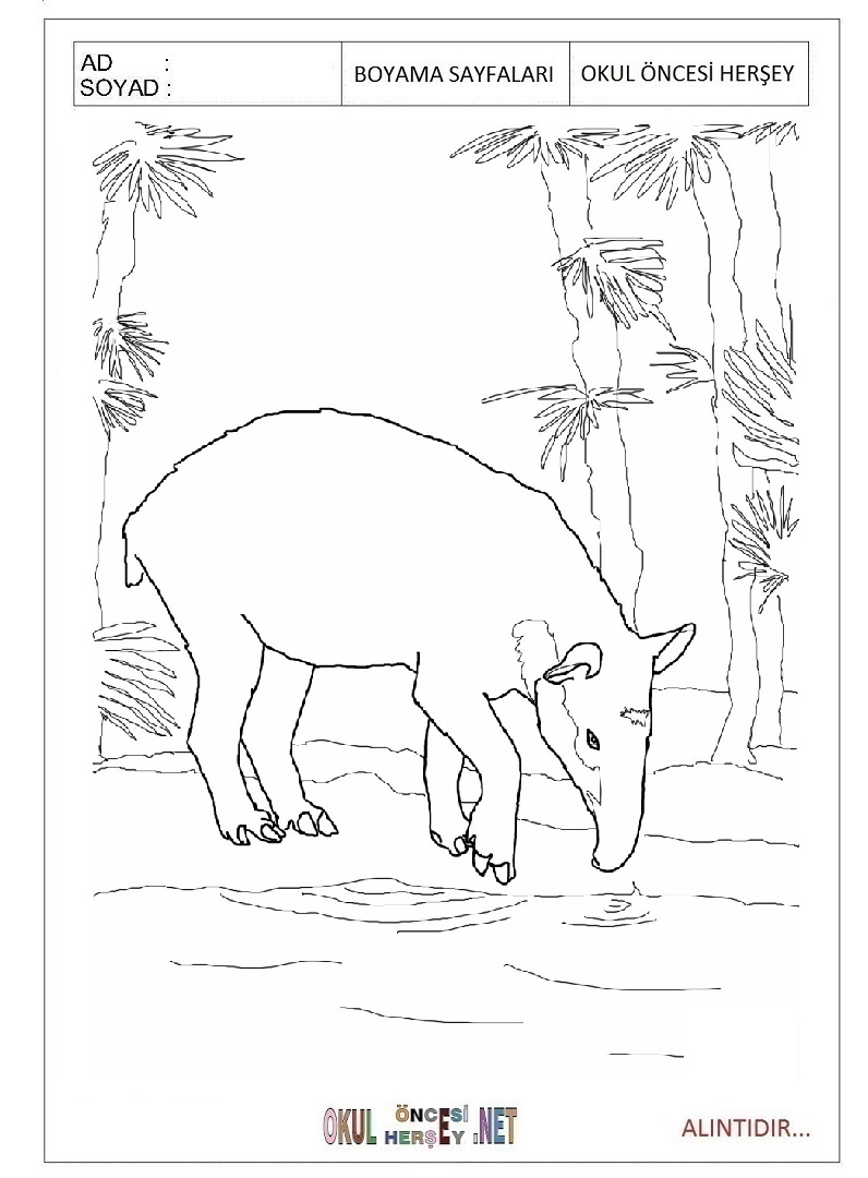 Çocuklar İçin Tapir Boyama Sayfaları 