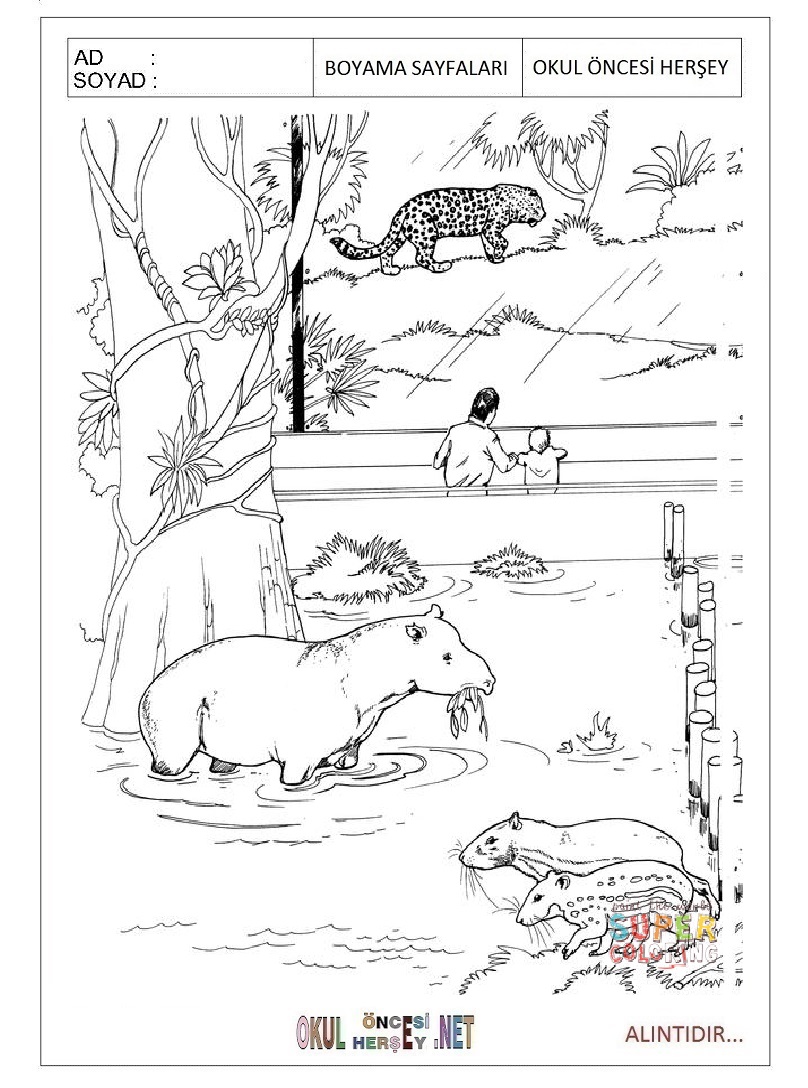 Çocuklar İçin Tapir Boyama Sayfaları 