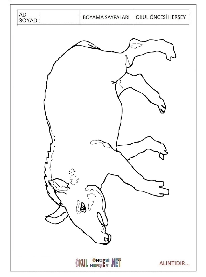 Çocuklar İçin Tapir Boyama Sayfaları 