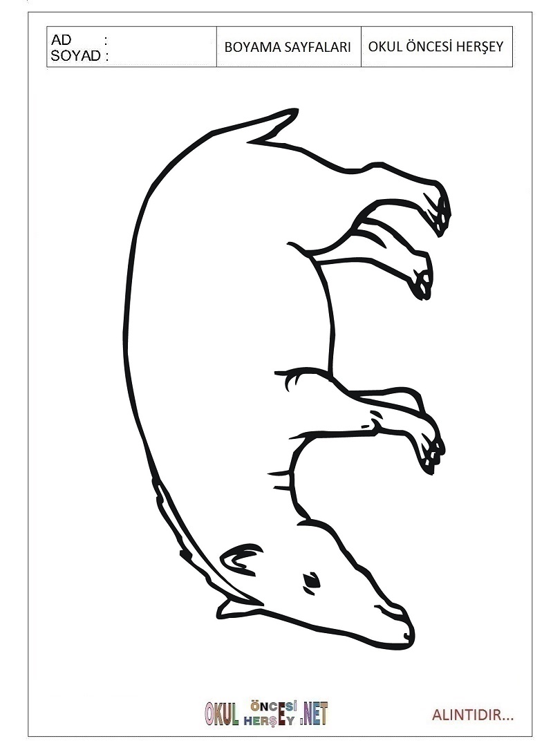 Çocuklar İçin Tapir Boyama Sayfaları 
