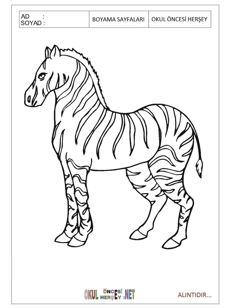 Çocuklar İçin Zebra Boyama Sayfaları 