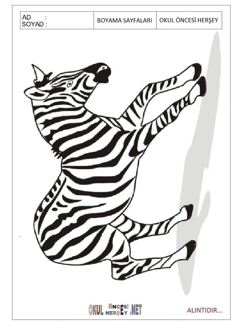 Çocuklar İçin Zebra Boyama Sayfaları 