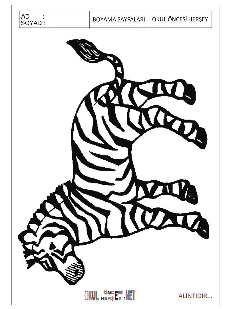 Çocuklar İçin Zebra Boyama Sayfaları 