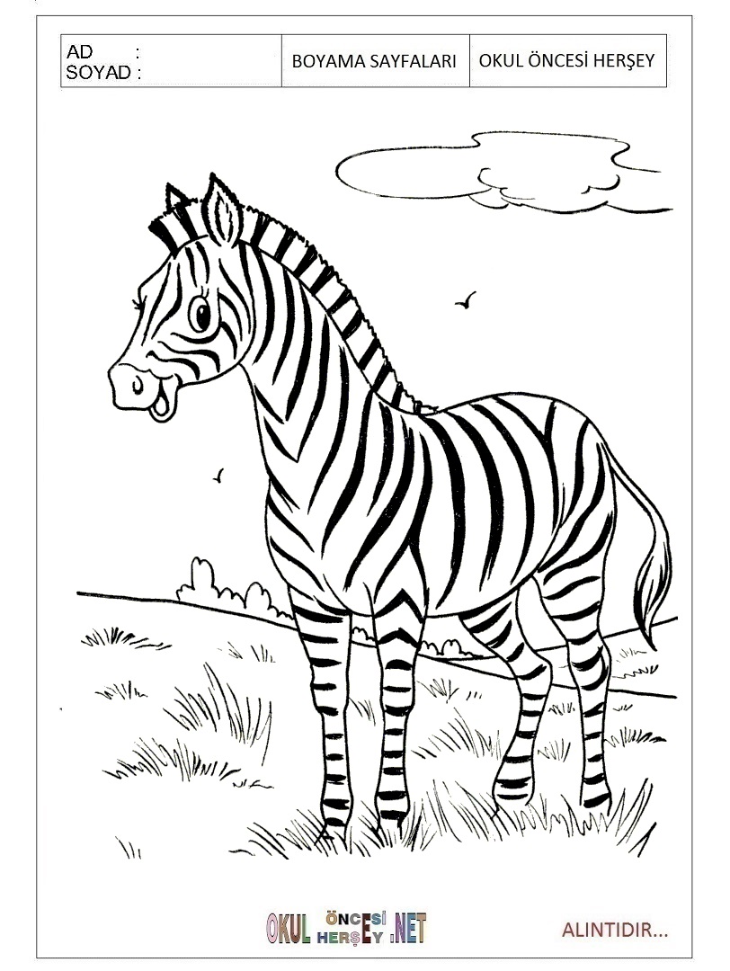 Çocuklar İçin Zebra Boyama Sayfaları 