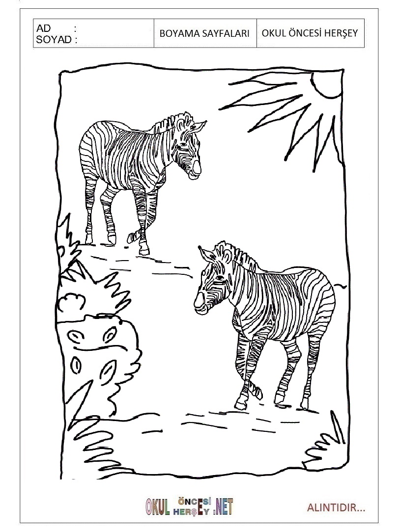 Çocuklar İçin Zebra Boyama Sayfaları 