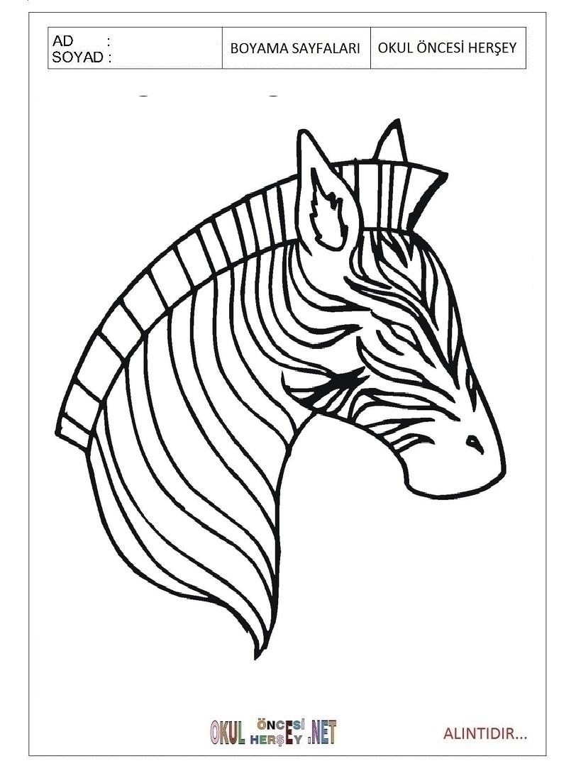 Çocuklar İçin Zebra Boyama Sayfaları 
