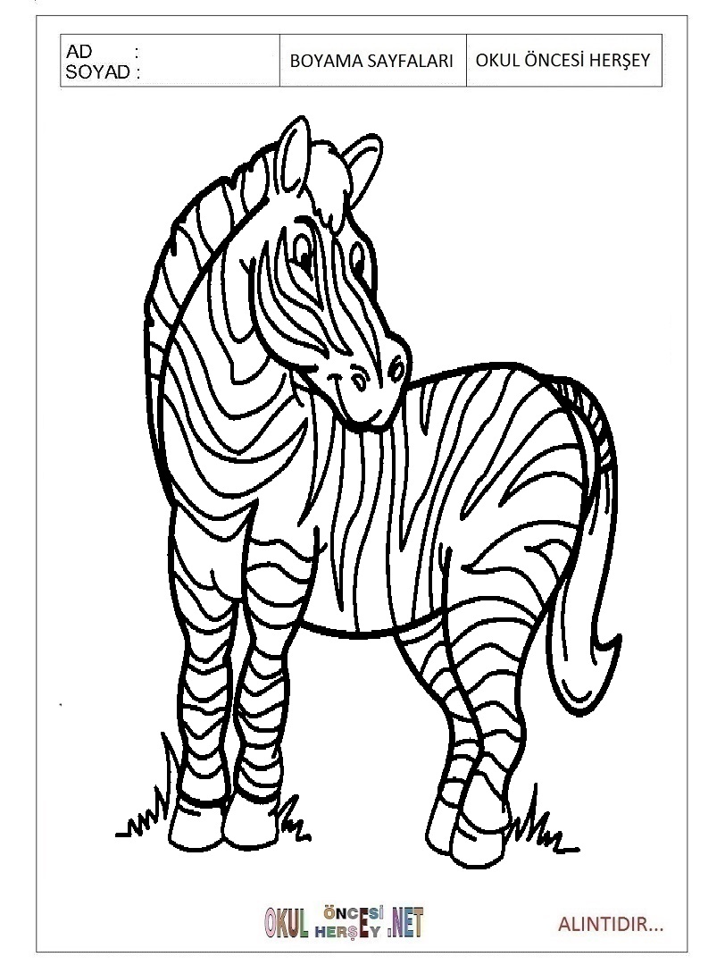 Çocuklar İçin Zebra Boyama Sayfaları 