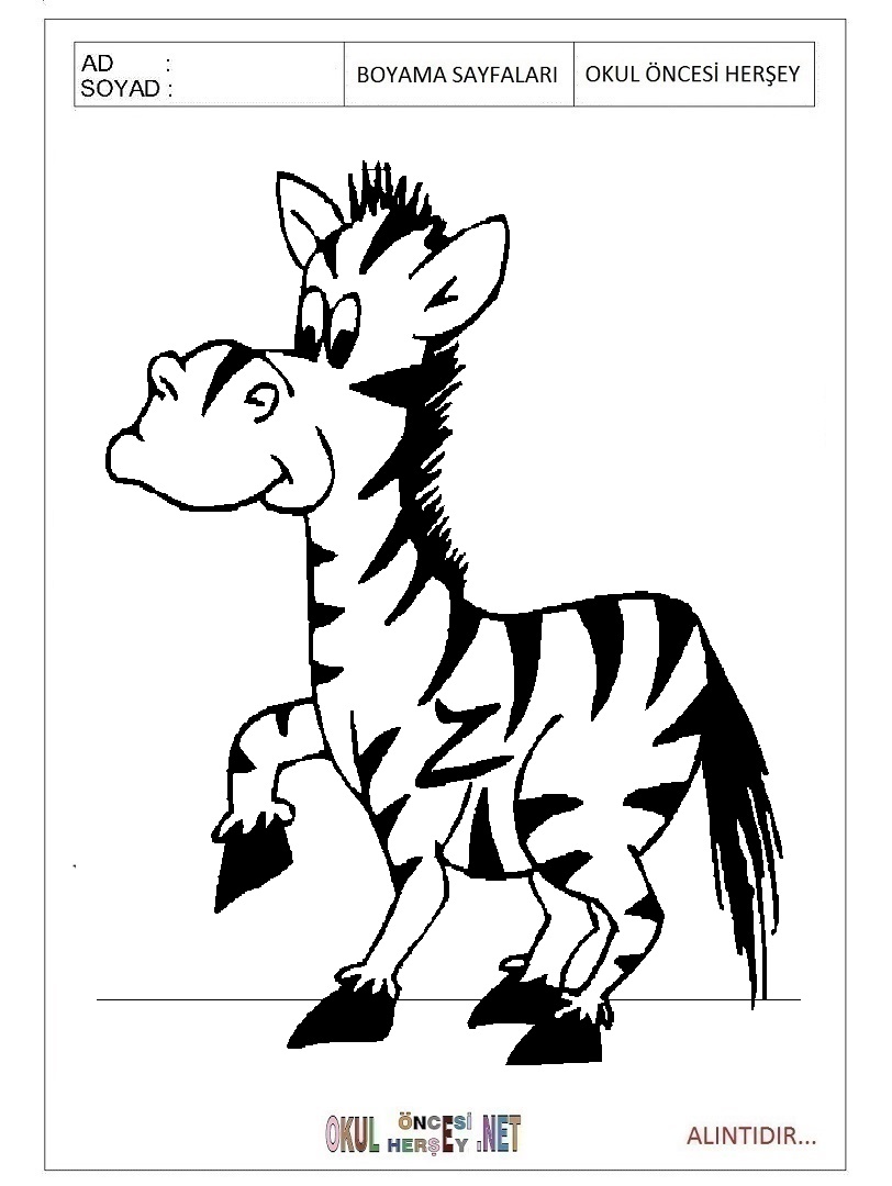 Çocuklar İçin Zebra Boyama Sayfaları 