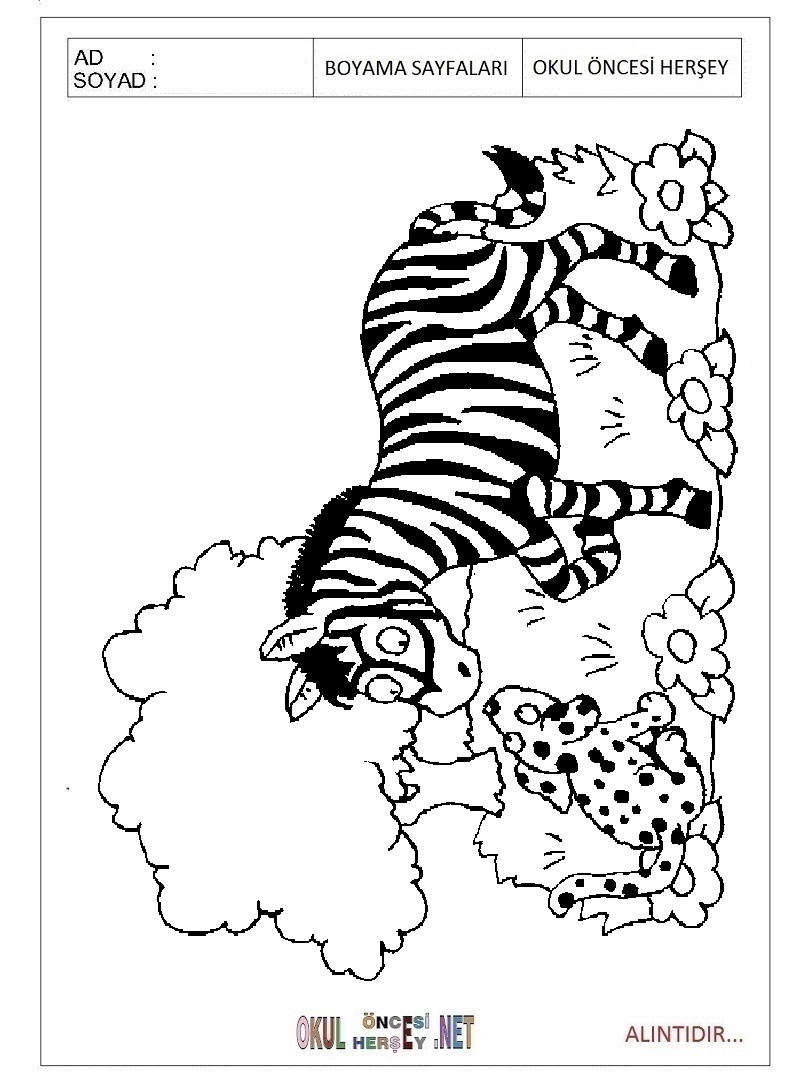 Çocuklar İçin Zebra Boyama Sayfaları 