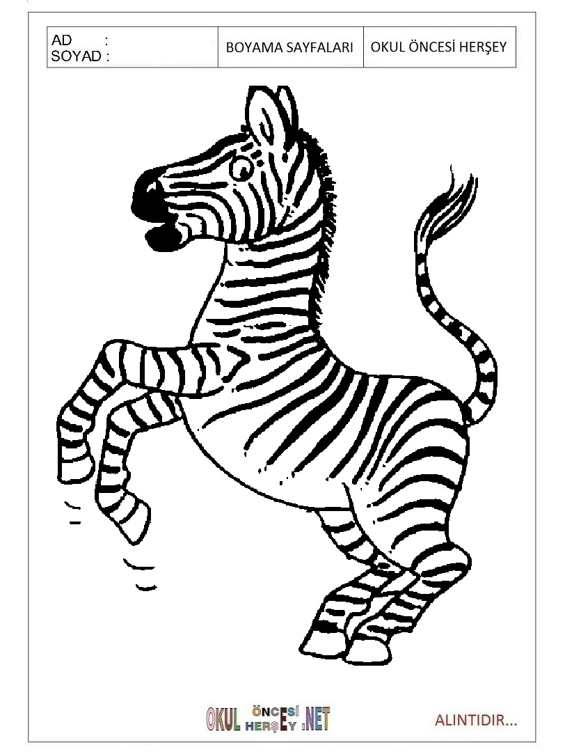 Çocuklar İçin Zebra Boyama Sayfaları 