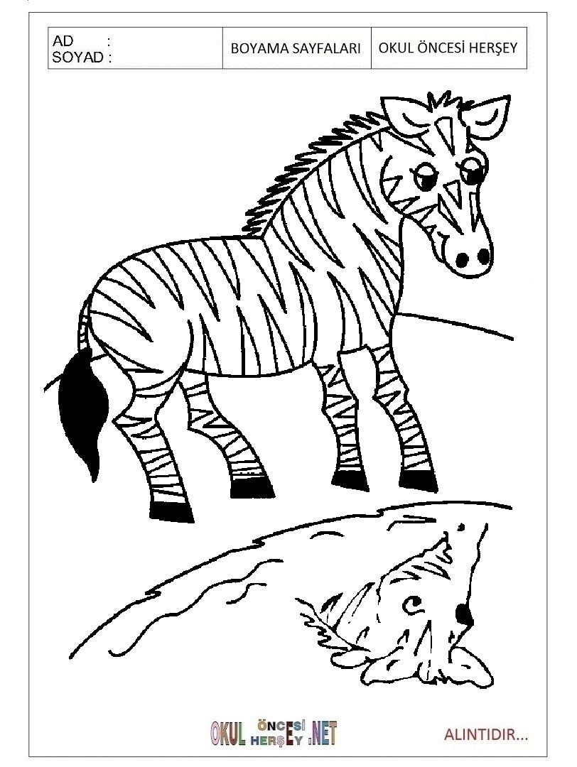 Çocuklar İçin Zebra Boyama Sayfaları 