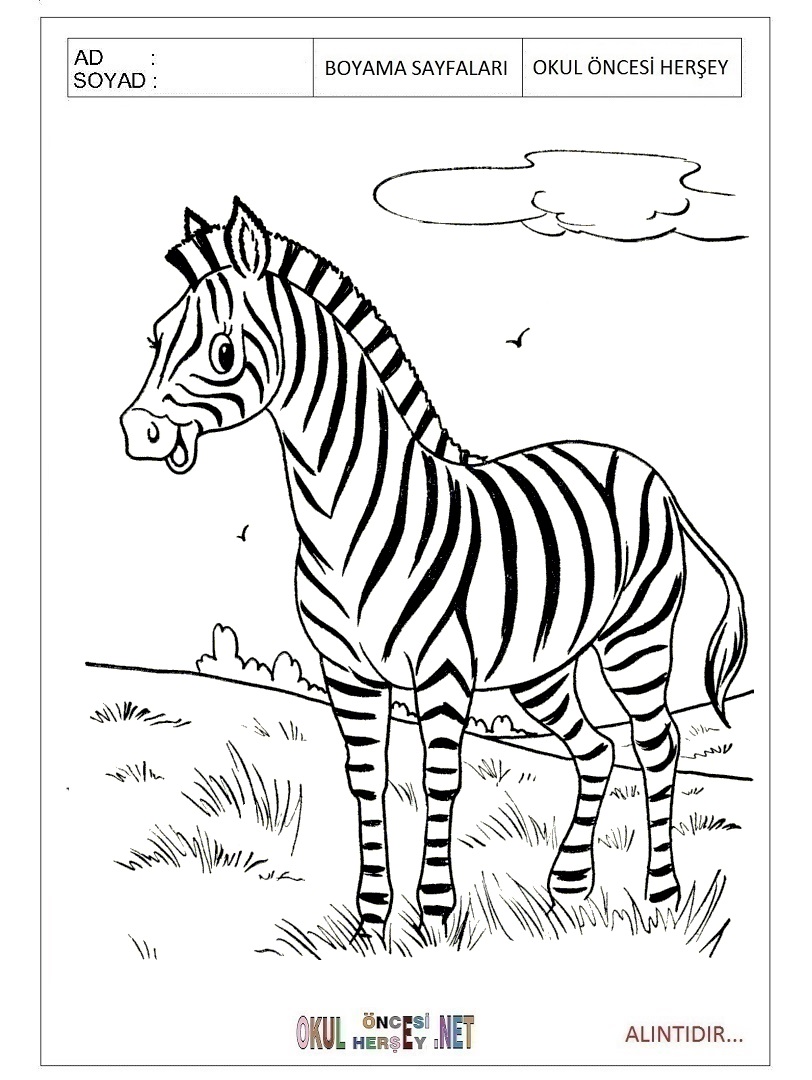 Çocuklar İçin Zebra Boyama Sayfaları 