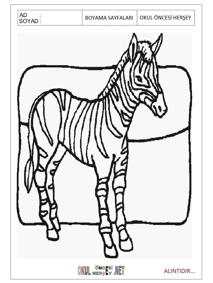 Çocuklar İçin Zebra Boyama Sayfaları 