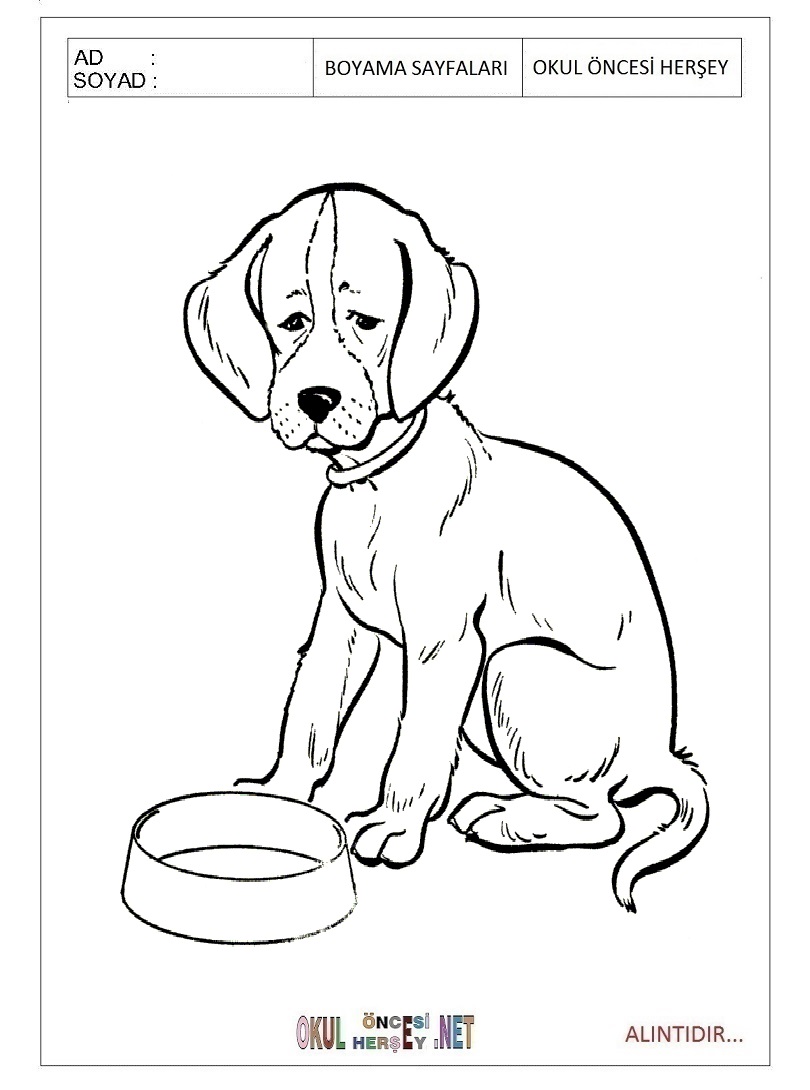 Çocuklar İçin Köpek Boyama Sayfaları 
