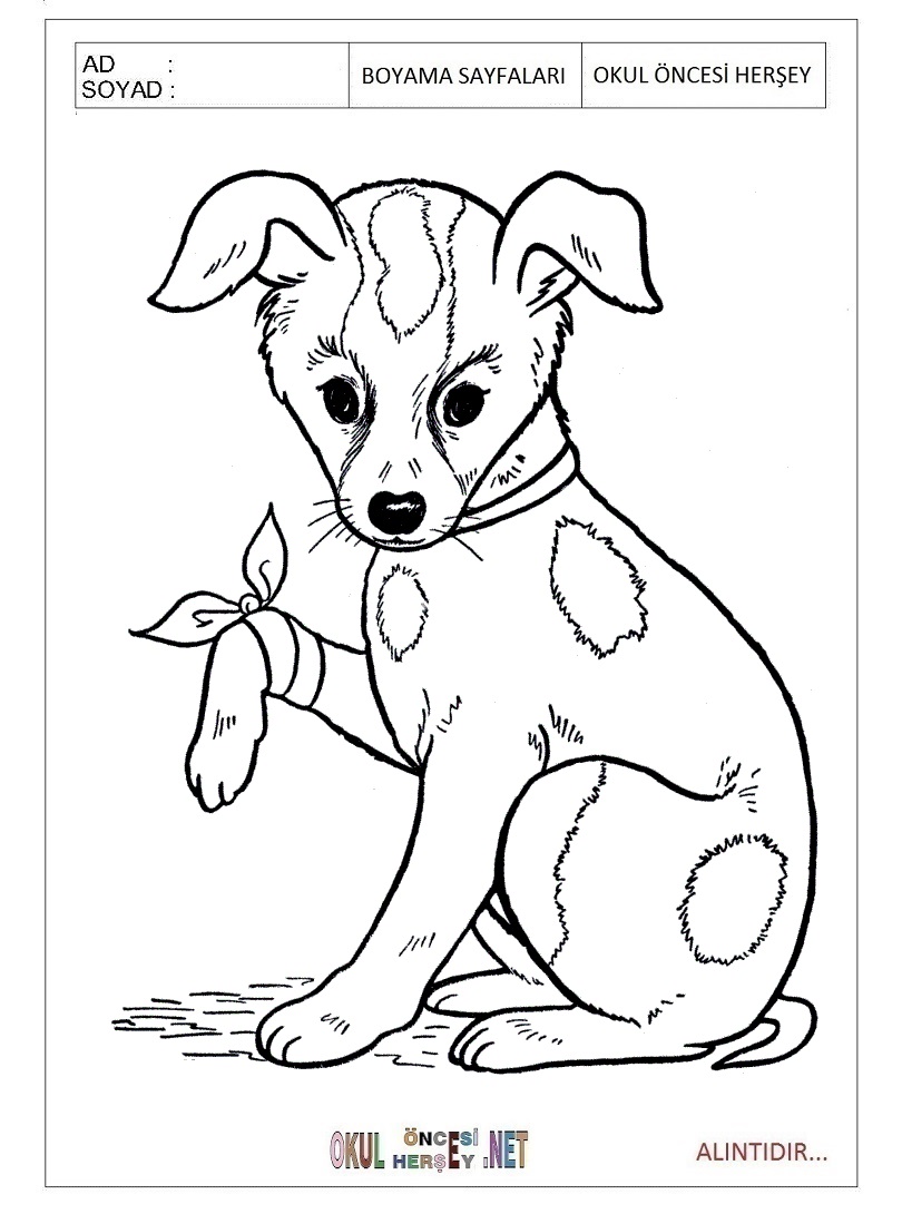 Çocuklar İçin Köpek Boyama Sayfaları 