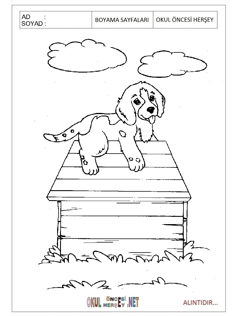 Çocuklar İçin Köpek Boyama Sayfaları 