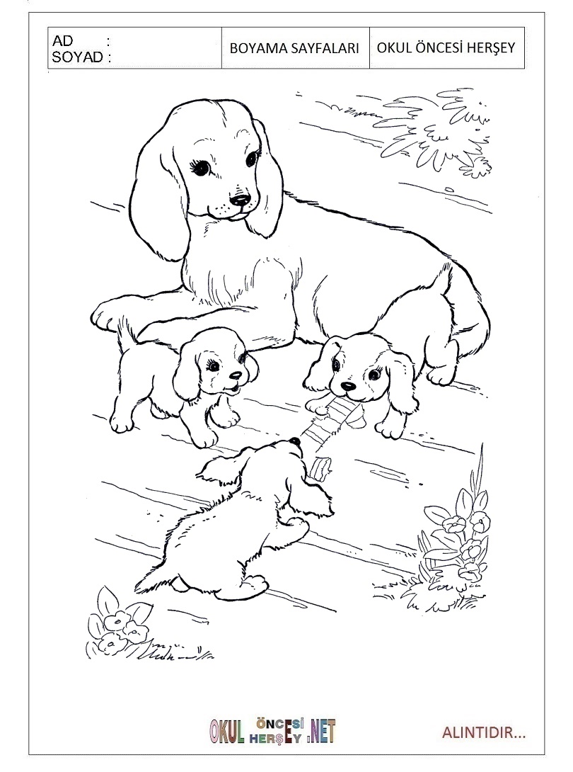 Çocuklar İçin Köpek Boyama Sayfaları 
