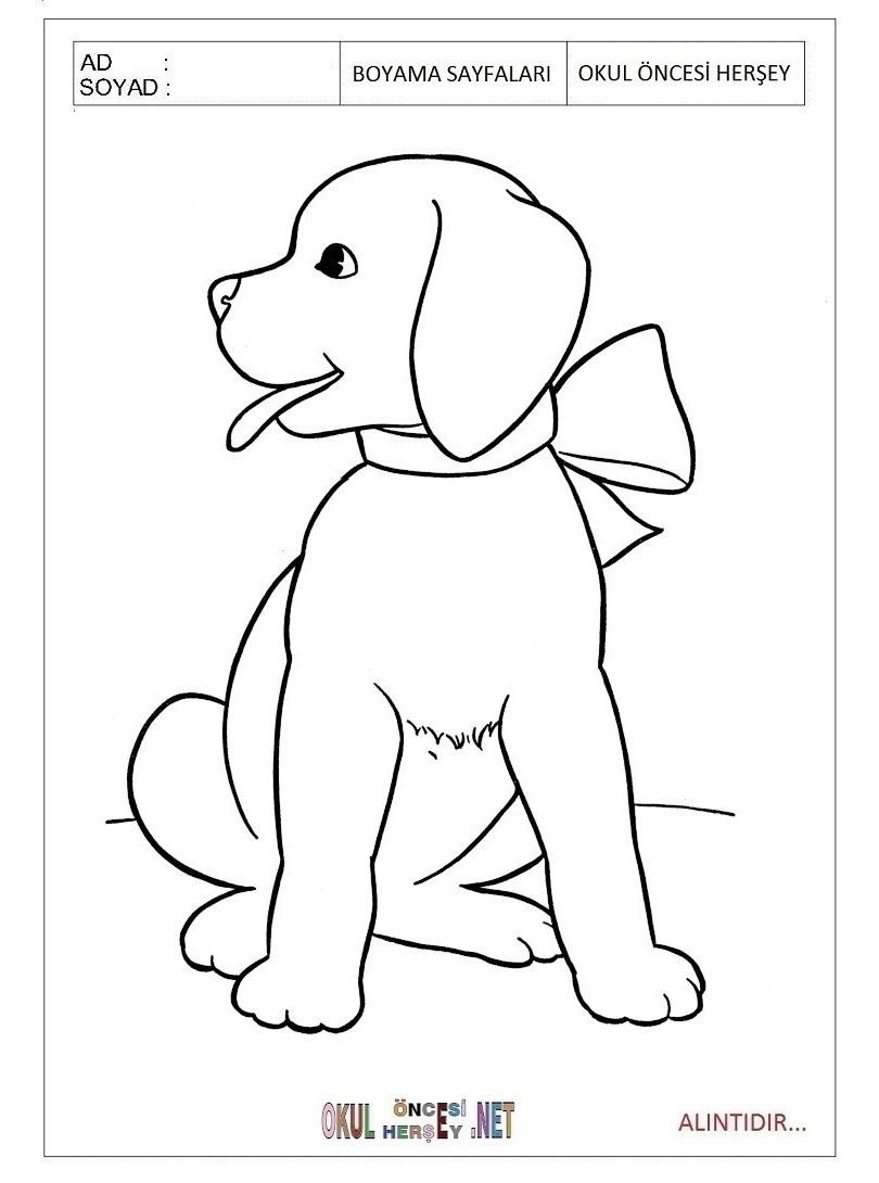 Çocuklar İçin Köpek Boyama Sayfaları 