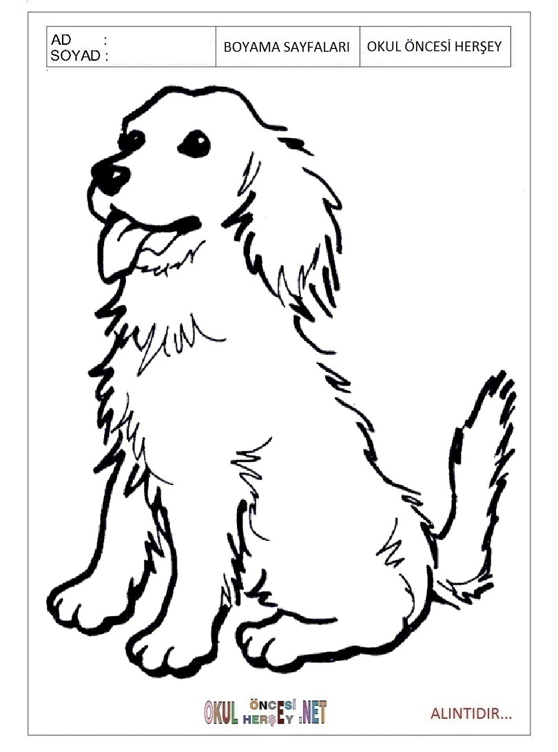 Çocuklar İçin Köpek Boyama Sayfaları 