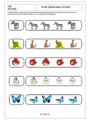 Aynısını Bul Oyunu